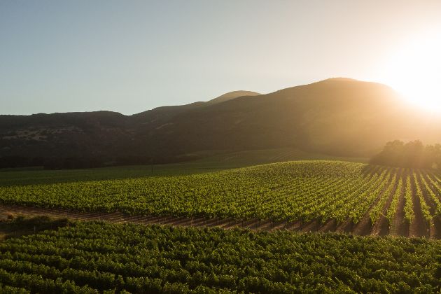 Coombsville, Napa Valley