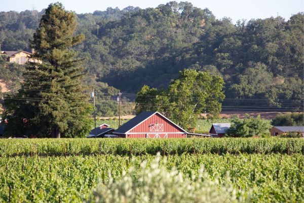 Winery Ranch